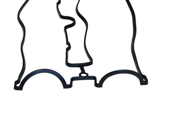 AUTOMEGA Dichtung, Zylinderkopfhaube