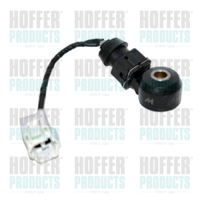 HOFFER Klopfsensor