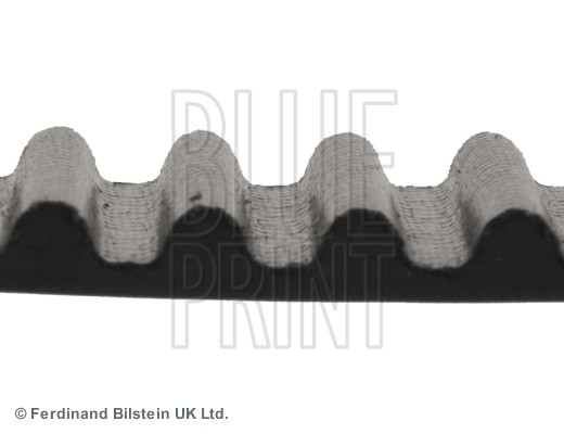 BLUE PRINT Zahnriemen