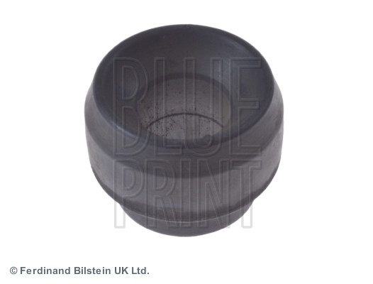 BLUE PRINT Lagerung, Lenker