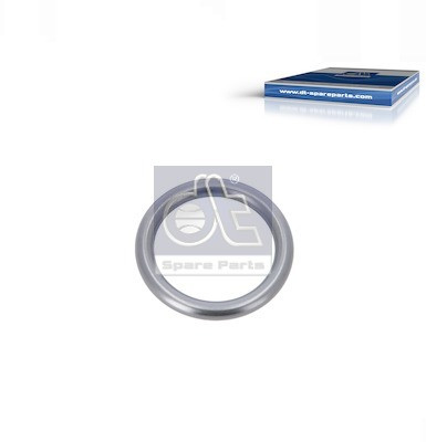 DT Spare Parts Dichtring