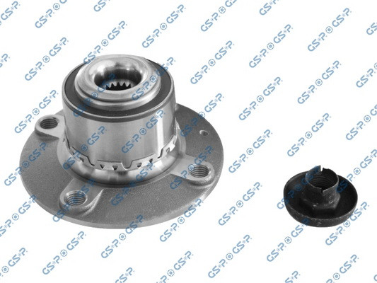 GSP Radlagersatz