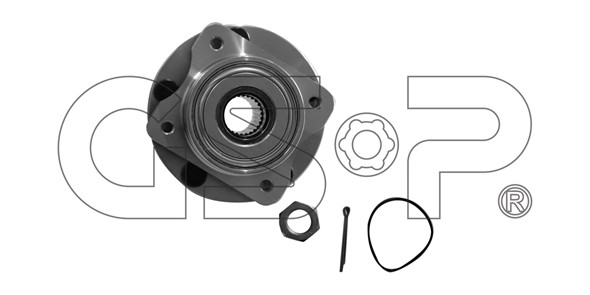 GSP Radlagersatz GSP Radlagersatz