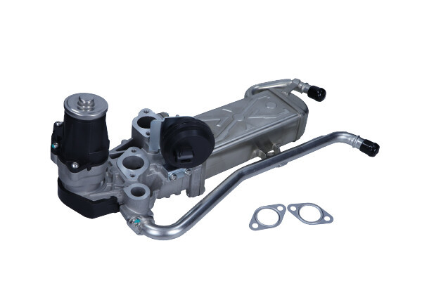 MAXGEAR Kühler, Abgasrückführung