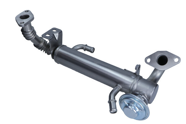 MAXGEAR Kühler, Abgasrückführung