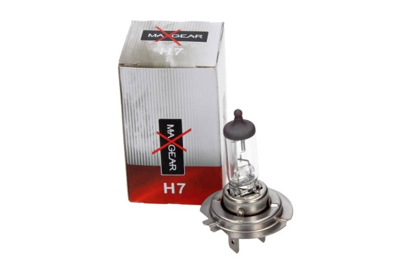 MAXGEAR Glühlampe, Hauptscheinwerfer