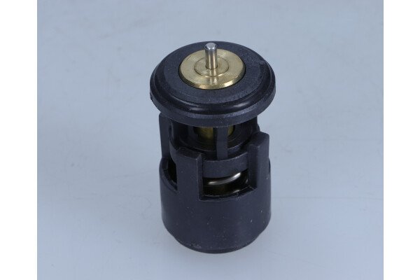 MAXGEAR Thermostat, Kühlmittel