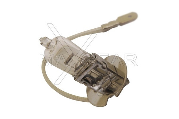 MAXGEAR Glühlampe, Hauptscheinwerfer