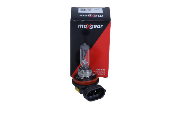 MAXGEAR Glühlampe, Hauptscheinwerfer
