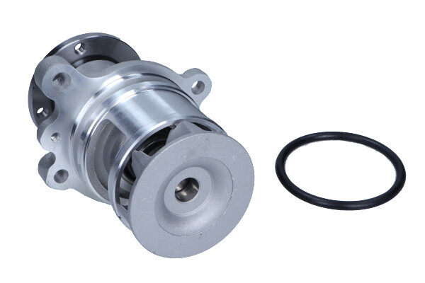 MAXGEAR Wasserpumpe, Motorkühlung