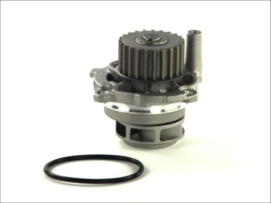 THERMOTEC Wasserpumpe, Motorkühlung THERMOTEC Wasserpumpe, Motorkühlung
