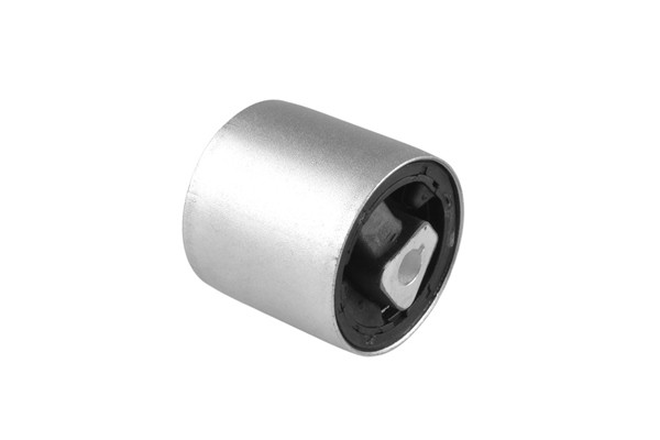 TEDGUM Lagerung, Lenker