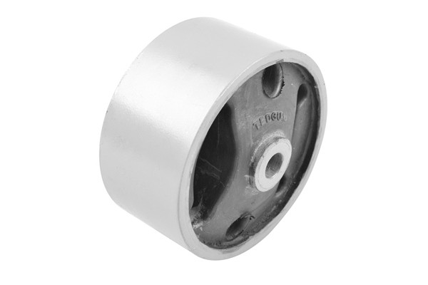 TEDGUM Lagerung, Motor