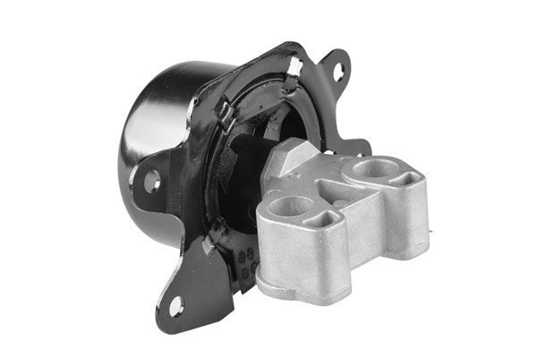 TEDGUM Lagerung, Motor