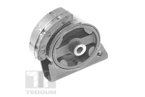 TEDGUM Lagerung, Motor