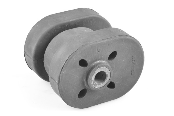 TEDGUM Lagerung, Motor