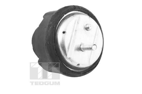TEDGUM Lagerung, Motor