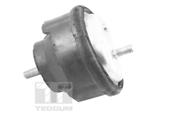 TEDGUM Lagerung, Motor