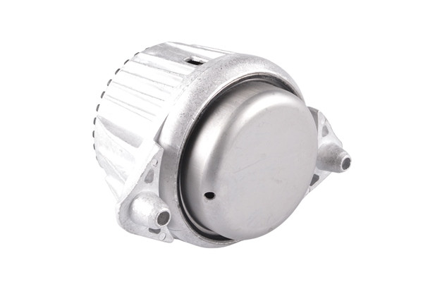 TEDGUM Lagerung, Motor