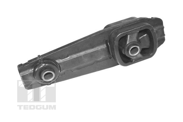 TEDGUM Lagerung, Motor