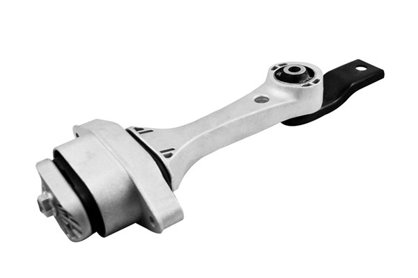 TEDGUM Lagerung, Motor