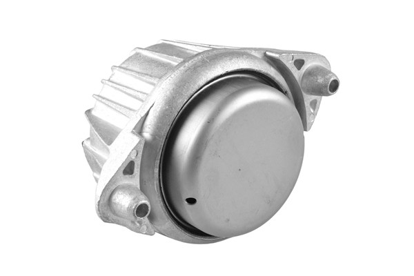 TEDGUM Lagerung, Motor