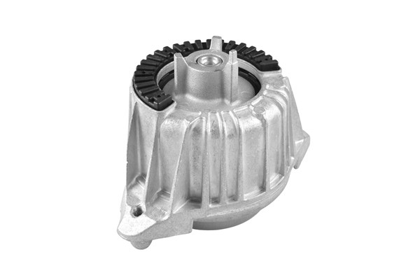 TEDGUM Lagerung, Motor