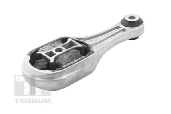 TEDGUM Lagerung, Motor