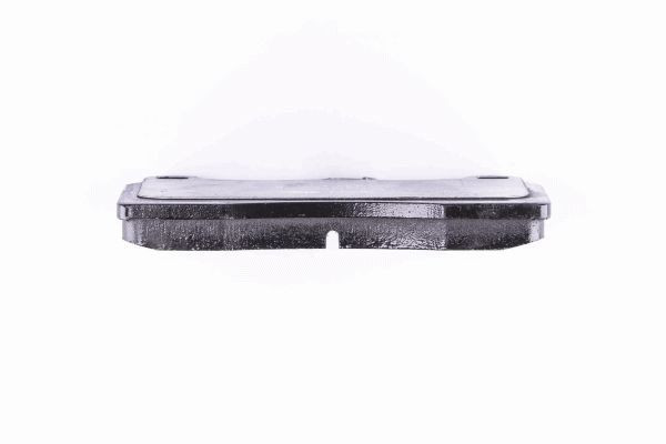 HELLA PAGID Bremsbelagsatz, Scheibenbremse