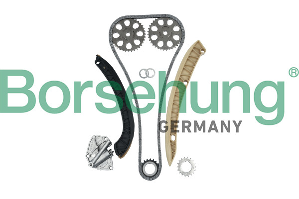 Borsehung Steuerkettensatz