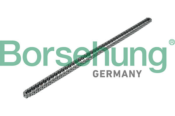 Borsehung Steuerkette