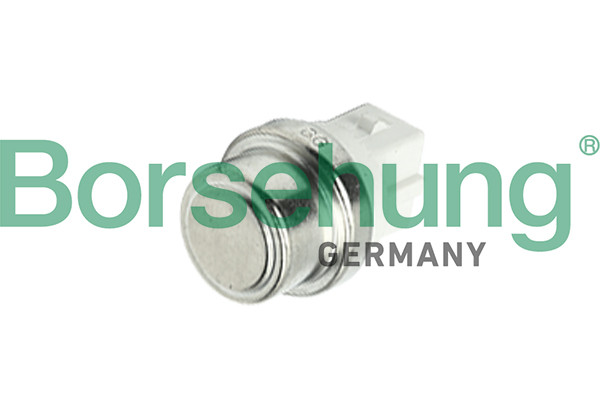 Borsehung Temperaturschalter, Kühlerlüfter