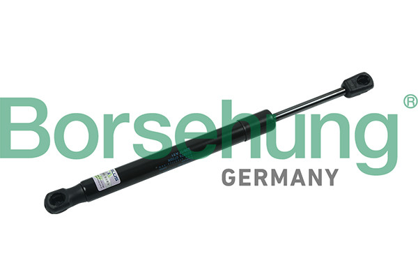 Borsehung Gasfeder, Koffer-/Laderaum