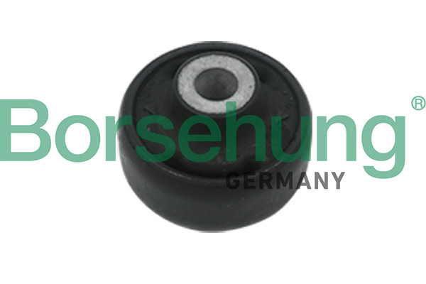 Borsehung Lagerung, Lenker