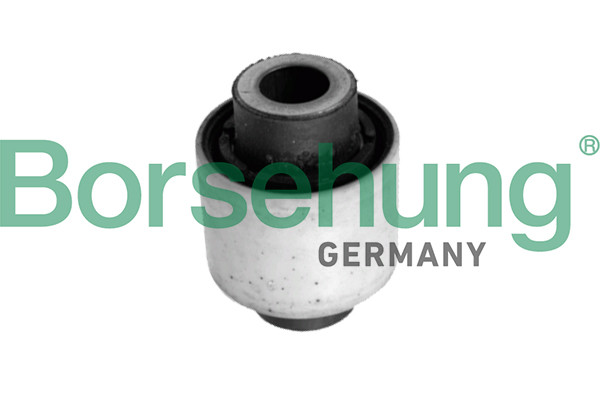 Borsehung Lagerung, Lenker