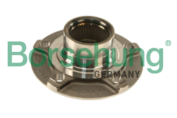 Borsehung Radlagersatz