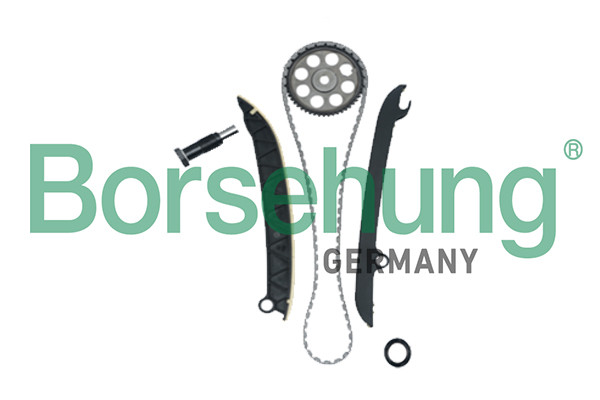 Borsehung Steuerkettensatz