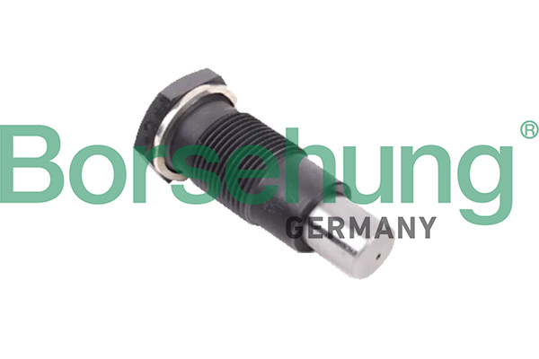 Borsehung Spanner, Steuerkette