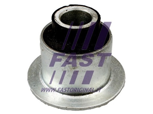 FAST Lagerung, Blattfeder