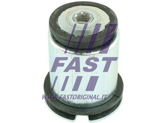 FAST Lagerung, Achskörper