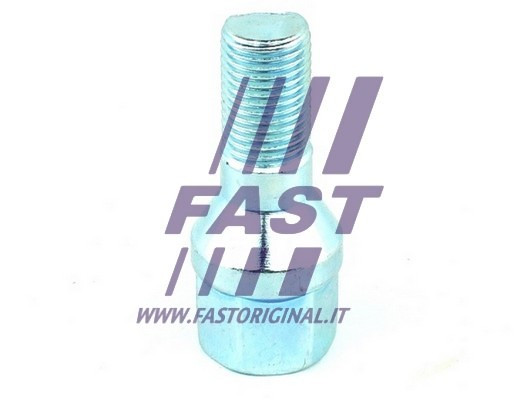 FAST Radbolzen