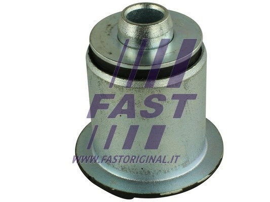 FAST Lagerung, Achskörper