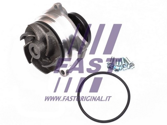 FAST Wasserpumpe, Motorkühlung