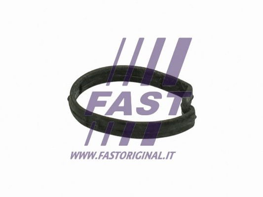 FAST Dichtung, Thermostatgehäuse