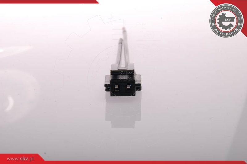 ESEN SKV Kraftstoffpumpe