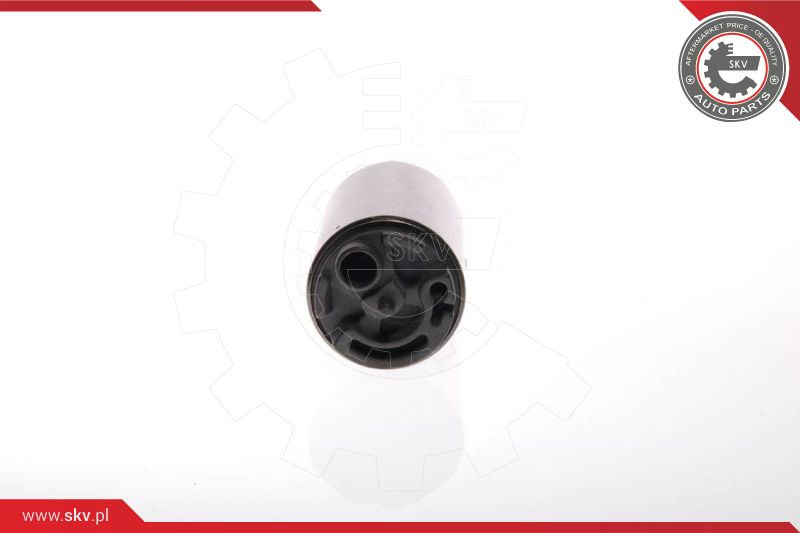 ESEN SKV Kraftstoffpumpe