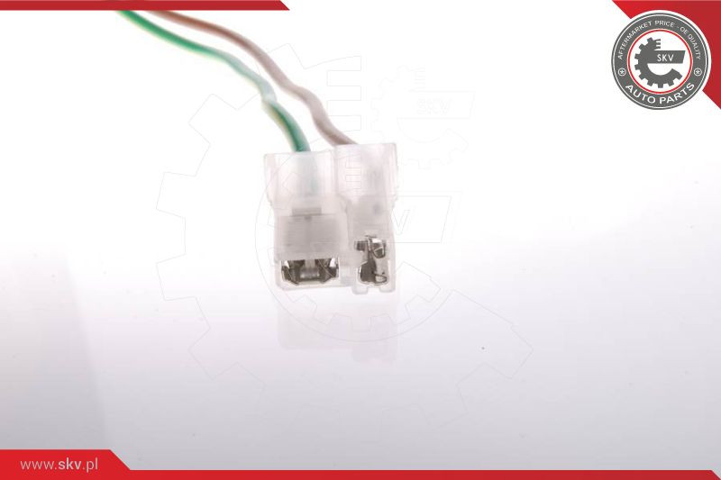 ESEN SKV Kraftstoffpumpe