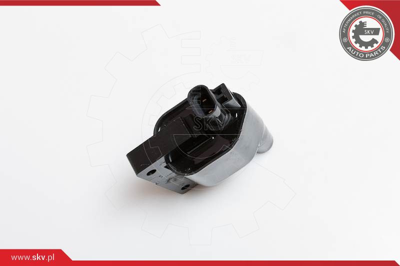 ESEN SKV Zündspule