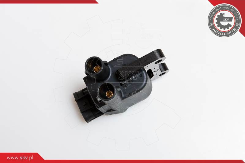 ESEN SKV Zündspule