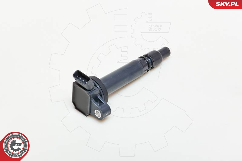 ESEN SKV Zündspule